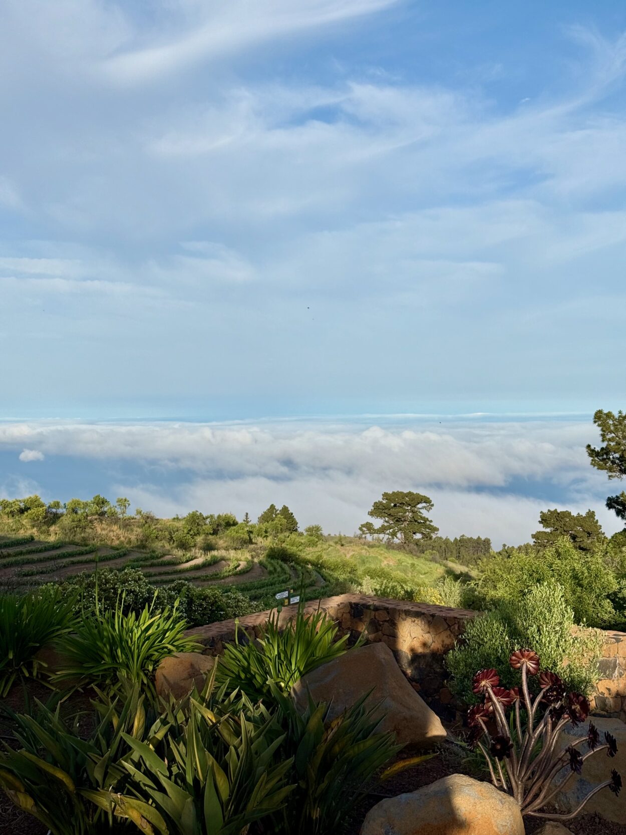 Über Wolken. Unter Sternen. Inmitten der Stille.