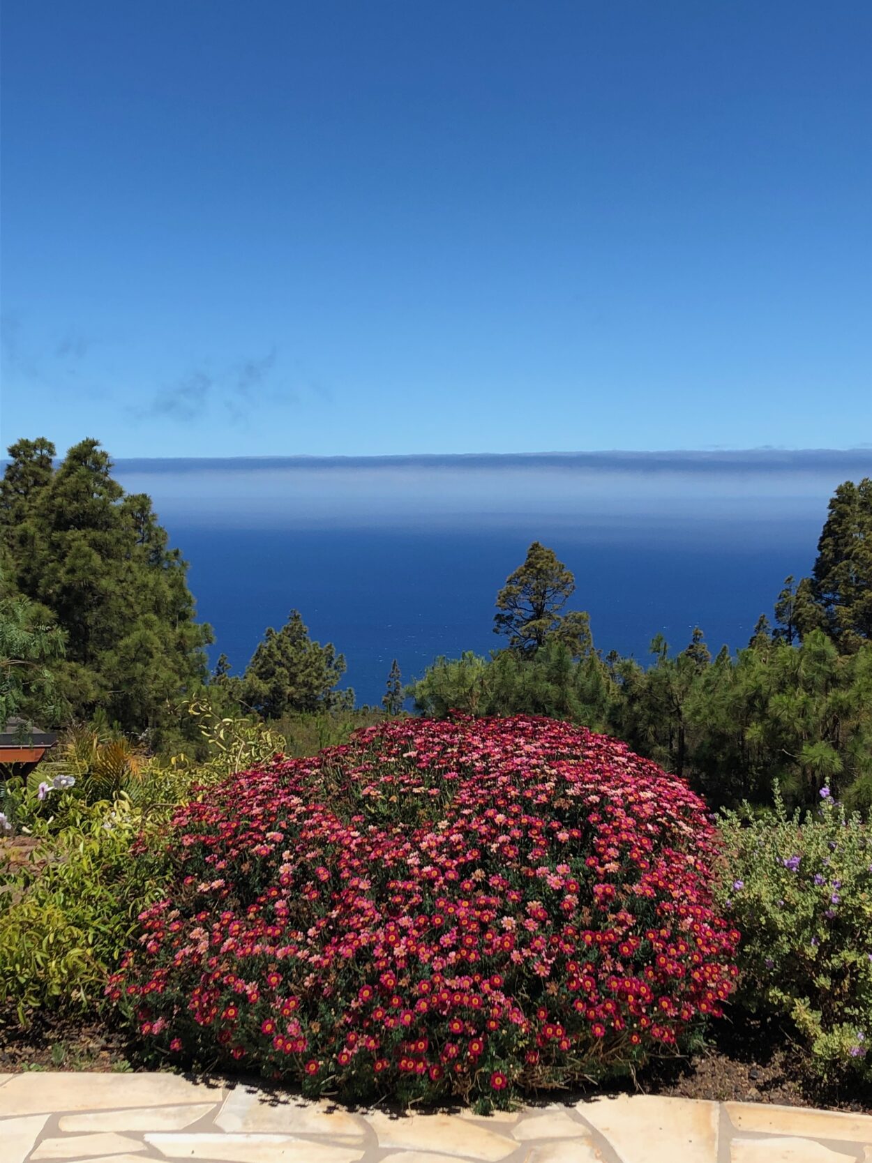 Den Atlantik zu Füßen 