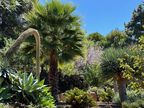 Zeit und Ruhe im Grünen