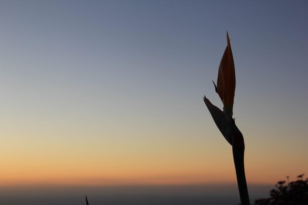 Wo Urlaub zum Zuhause wird